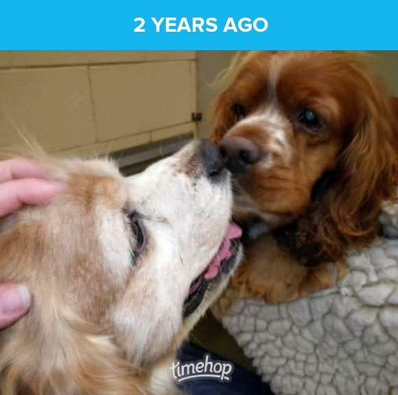 Meet your Posher, Tracie - Picture 1 of 1